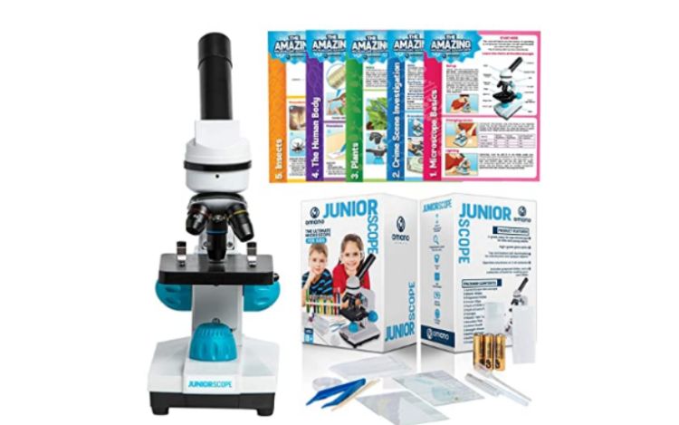 Top 5 Grade 3 Science Experiments | See August 2020's Top Picks